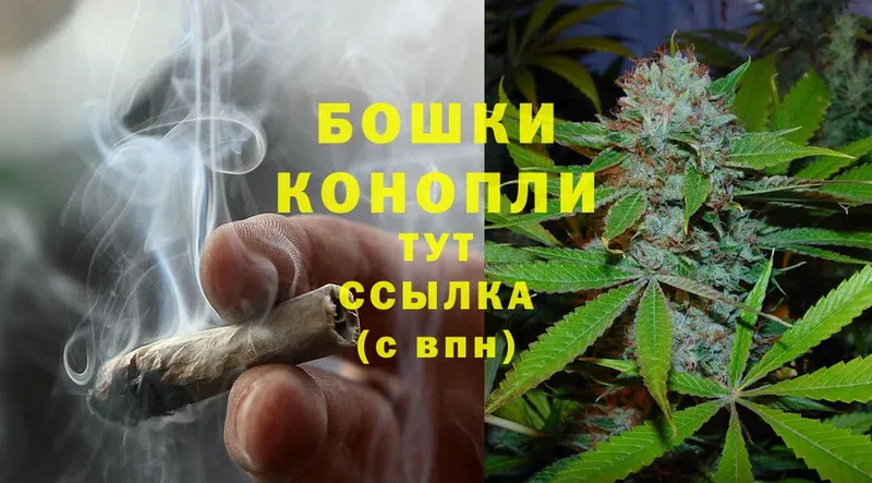 Каннабис THC 21%  сайты даркнета какой сайт  Апшеронск 